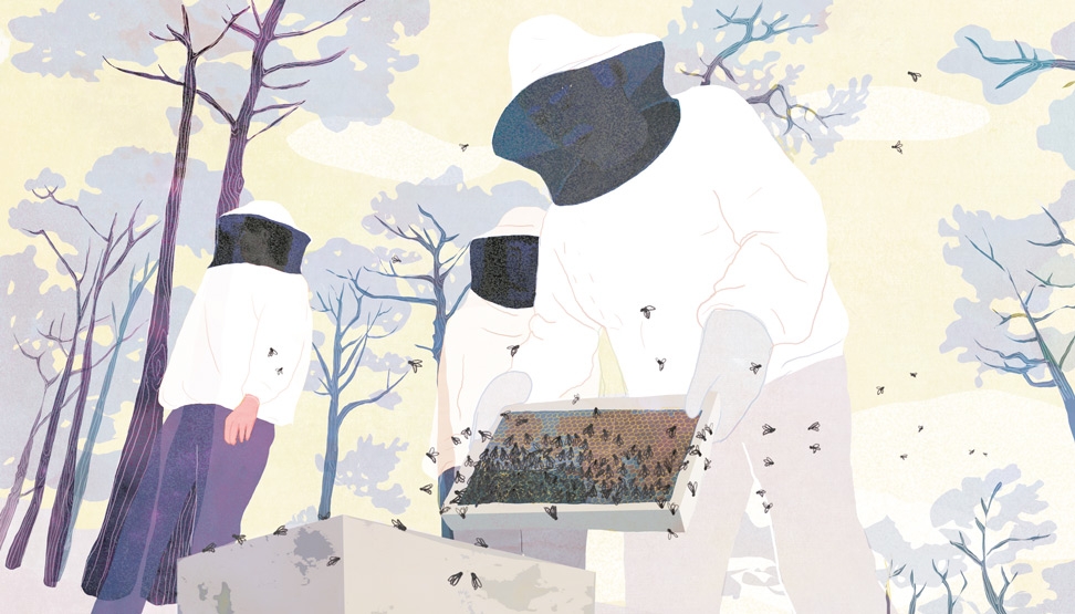 yasmine gateau, XXI, illustration, editorial illustration, little land, ikaria