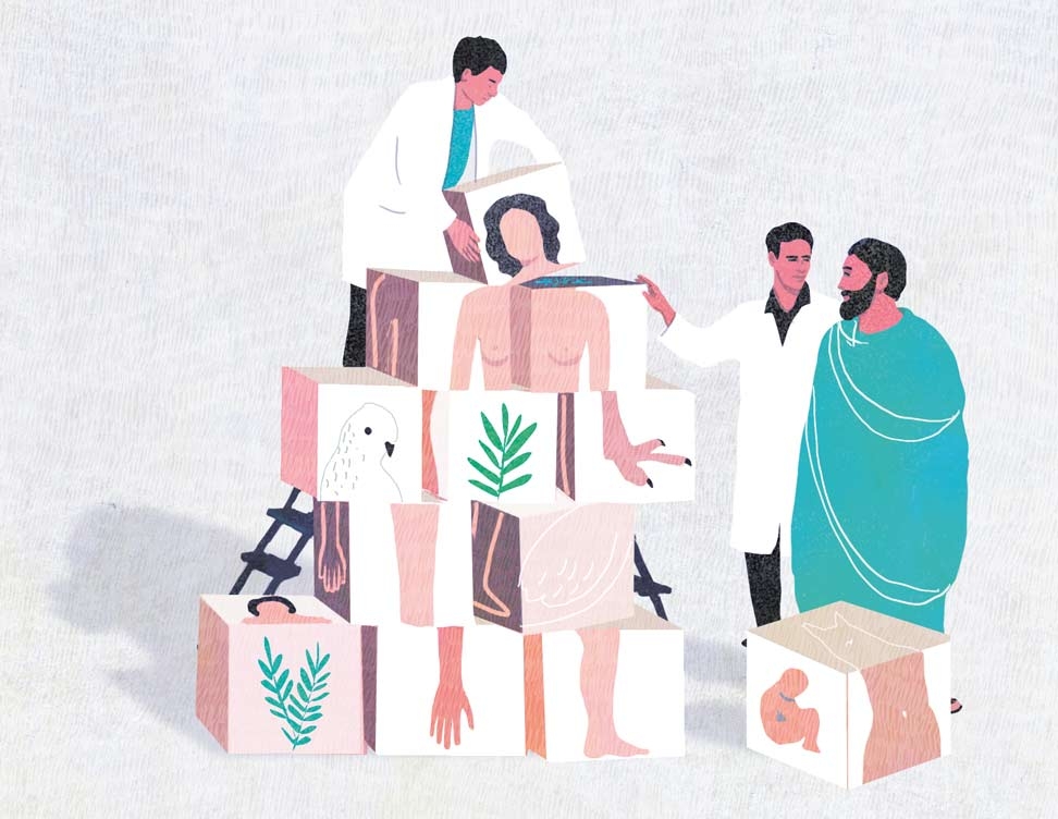 yasmine gateau, illustration, editorial illustration, magazine littéraire, aristote