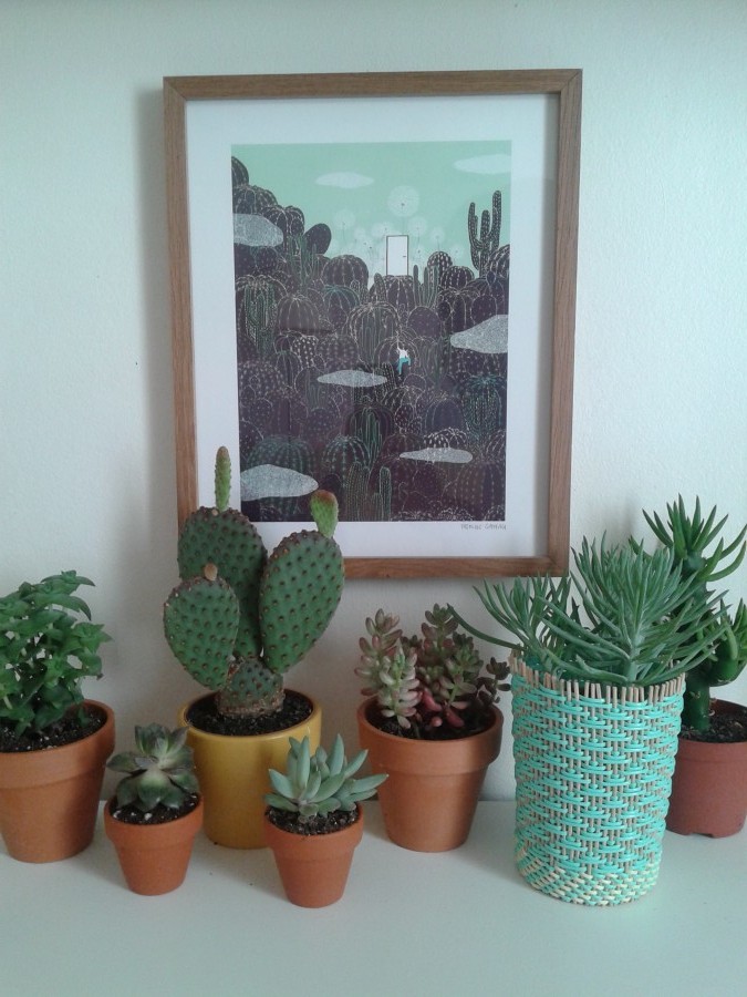 cactus, yasmine gateau, illustration